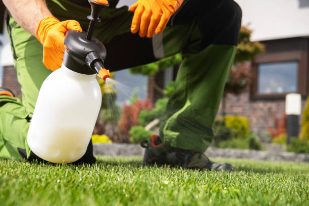 Best Ant Control Services  in Marion, OH