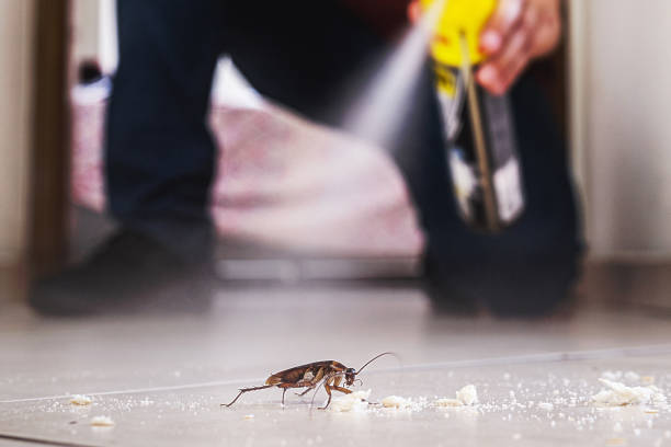 Best Pest Control for Businesses  in Marion, OH