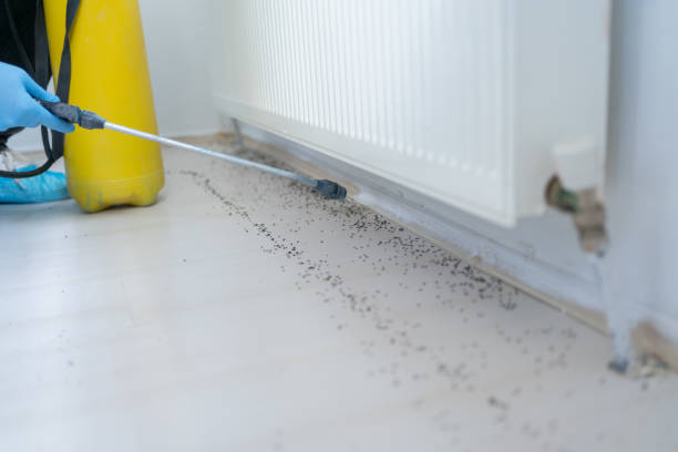 Best Termite Control Services  in Marion, OH